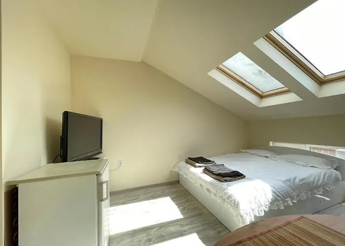 Lejlighed City-centre 2